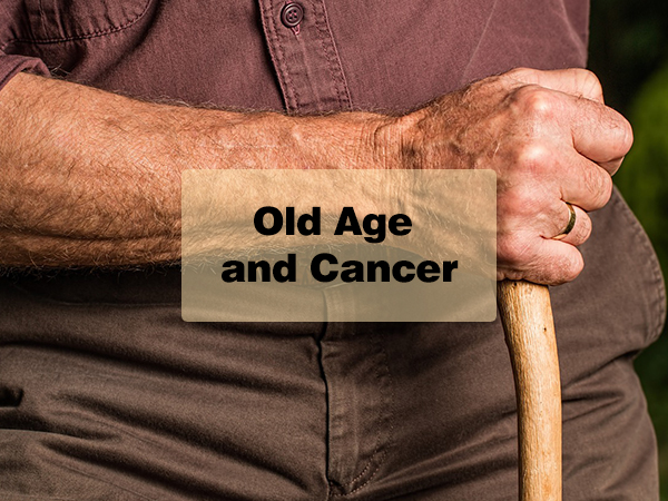 Old Age and Cancer